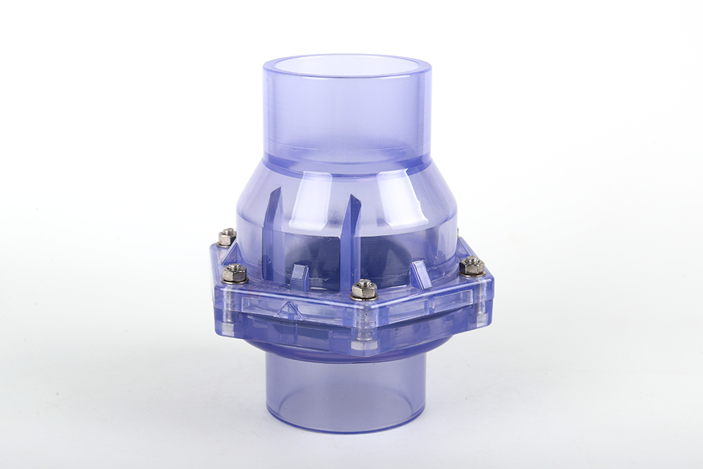 樟树透明翻板式止回阀